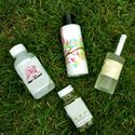 Organic and Inorganic Solvents